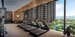 Tembusu Grand (D15), Condominium #597559121